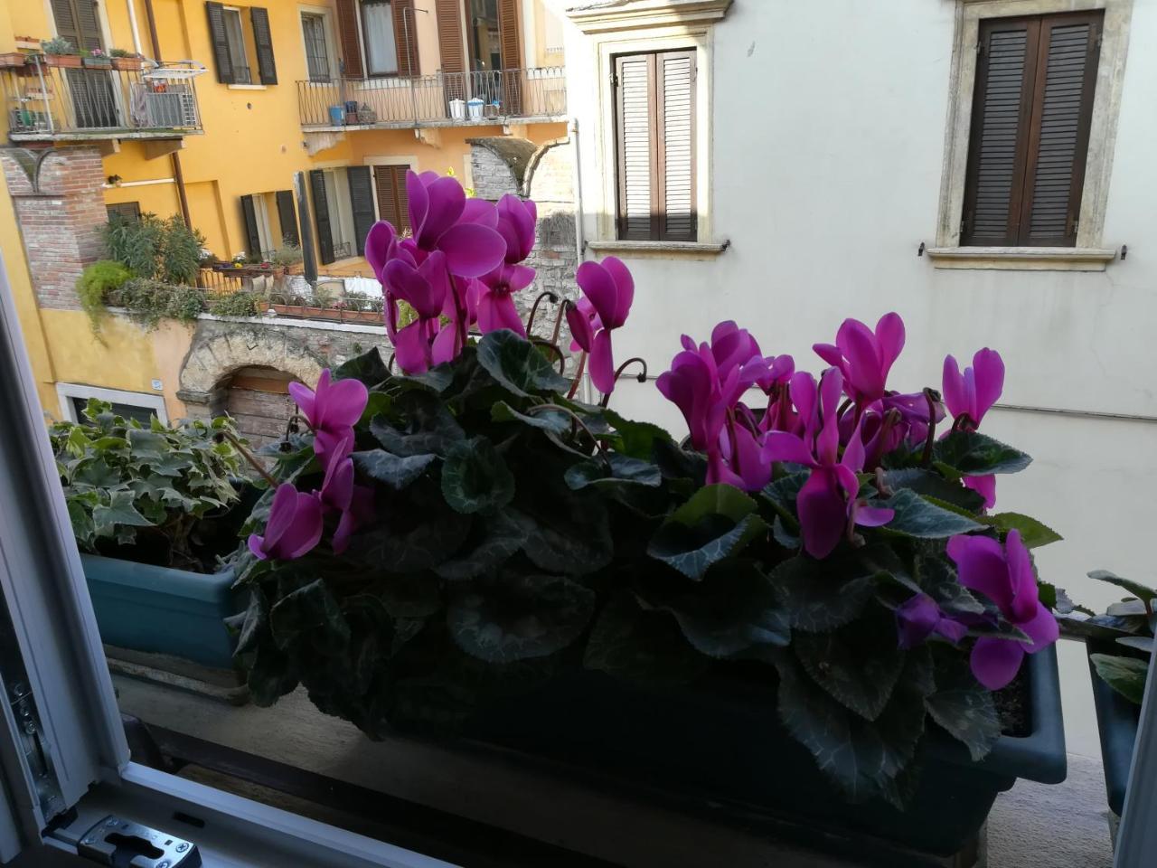 A Casa Di Luca Hotell Verona Eksteriør bilde